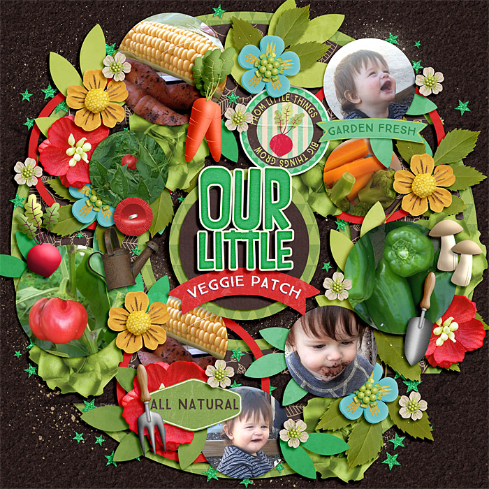 Our Little Veggie Patch