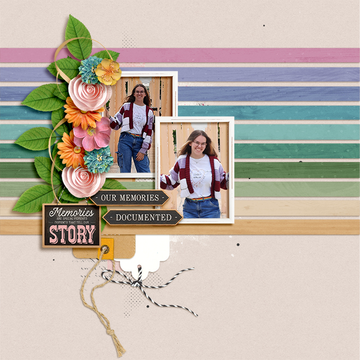 Our Memories Documented