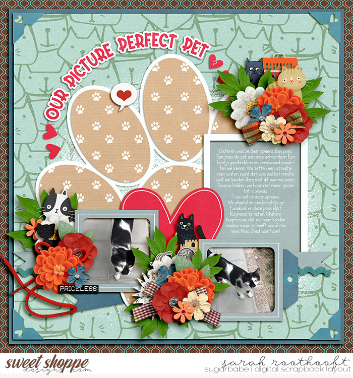 Our picture perfect pet?