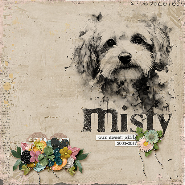 Our Sweet Girl Misty