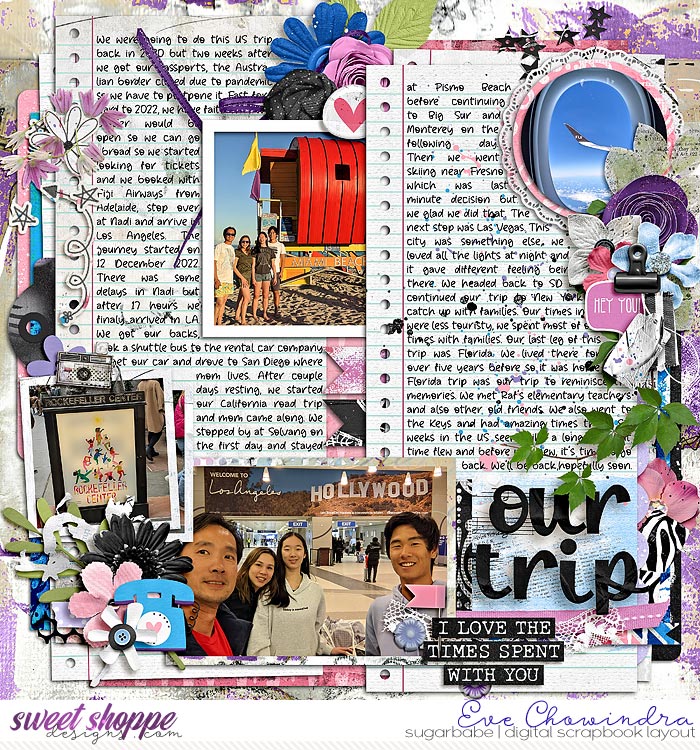 our trip