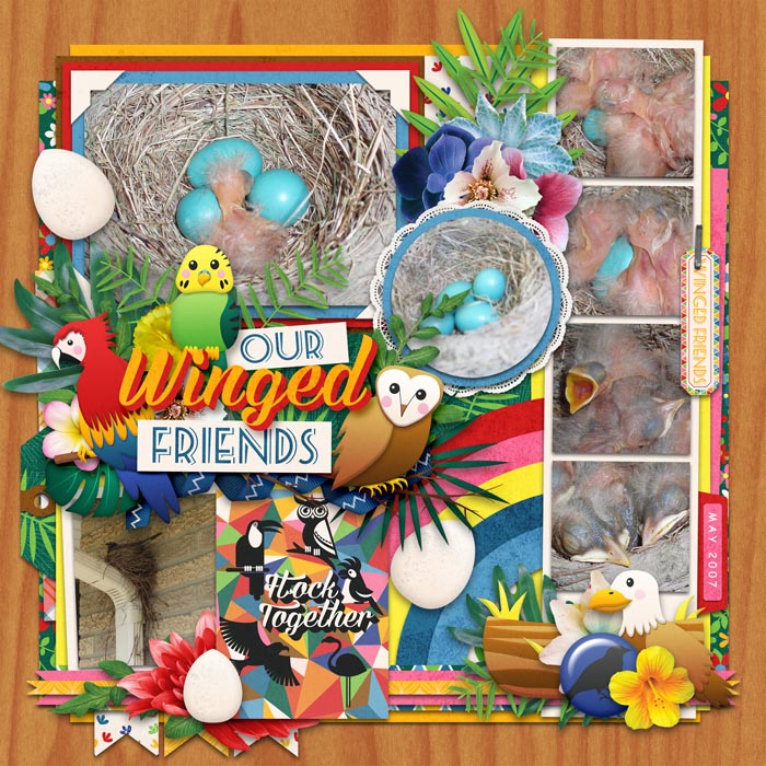 Our Winged Friends