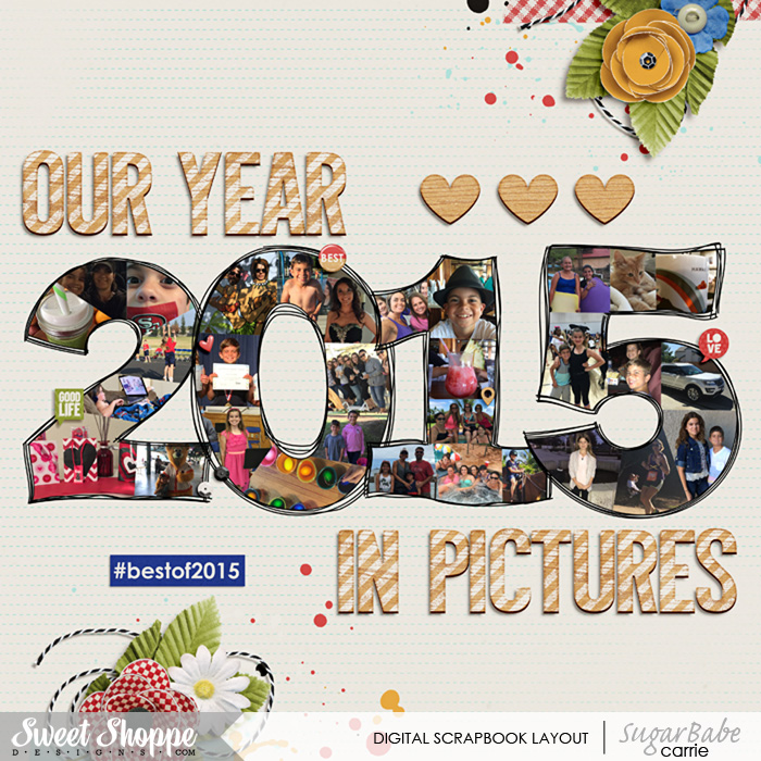 Our Year in Pictures 2015
