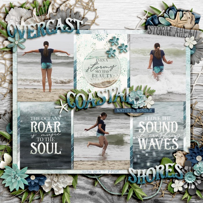 Overcast Coastal Shores