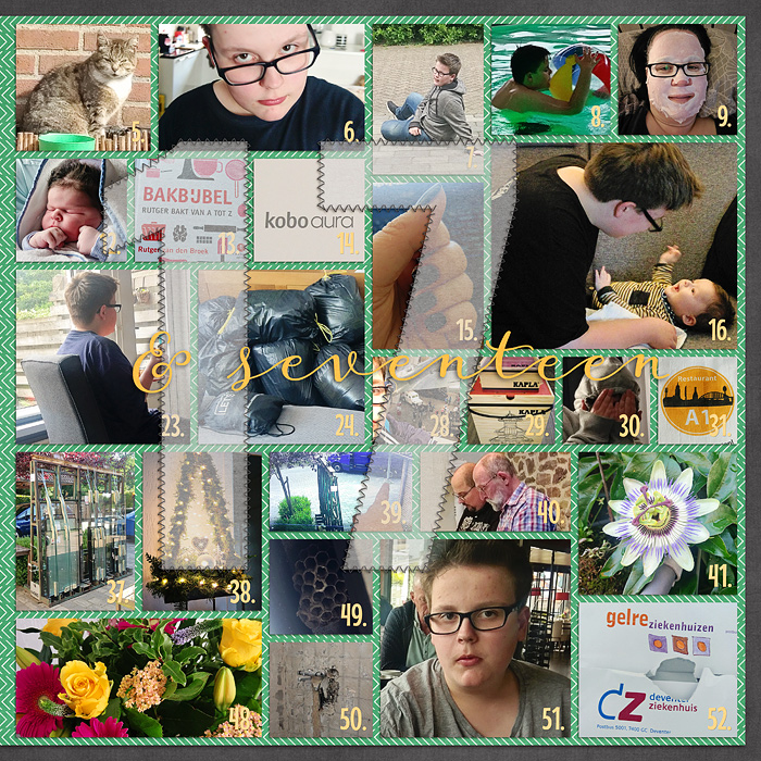 Overview 2017 - 2