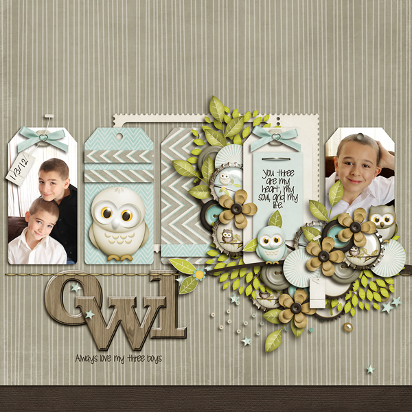 Owl Always Love You