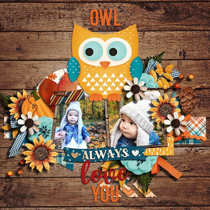 Owl always love you