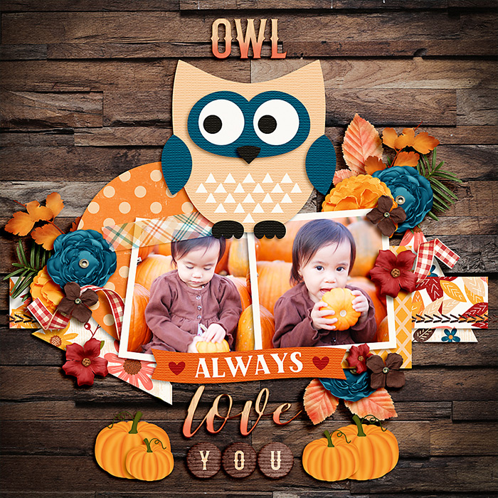 Owl Always Love You