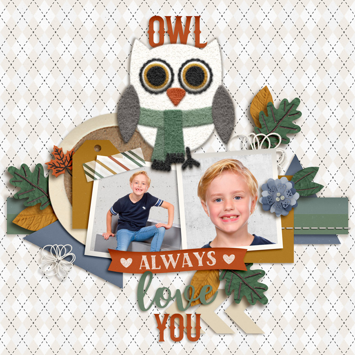Owl Always Love You