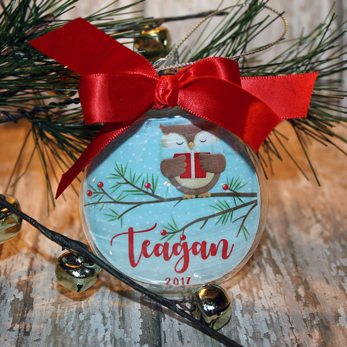 Owl Christmas Floating Ornament
