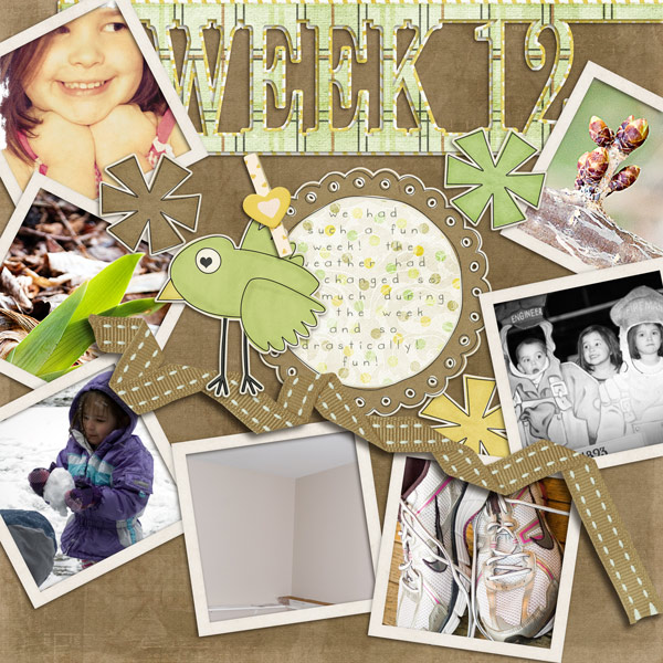 P365 Week 12