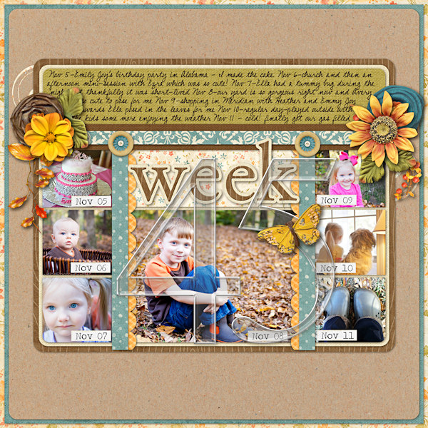 p365 Week 45