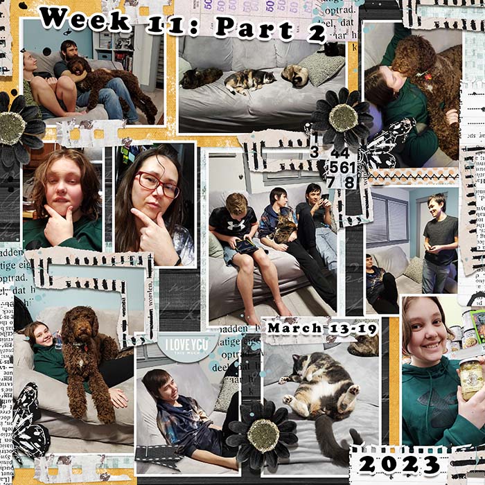 P52: Week 11 Part 2