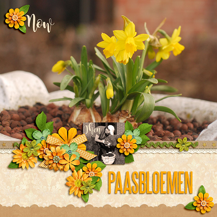 Paasbloemen