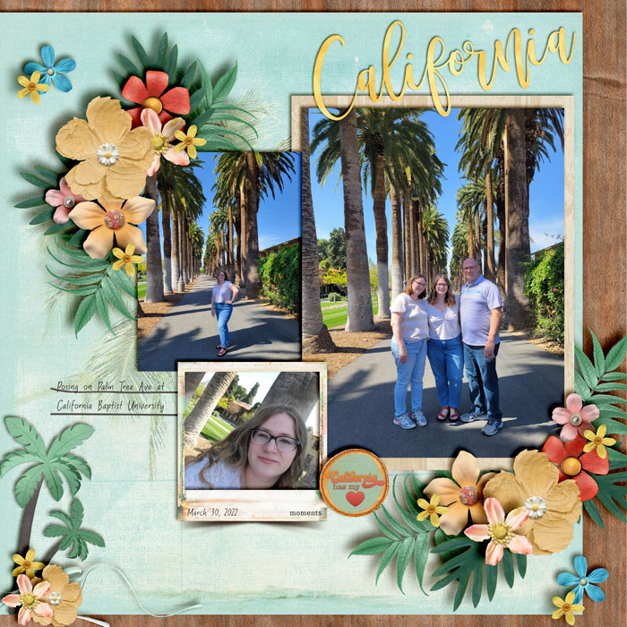 Palm Tree Ave