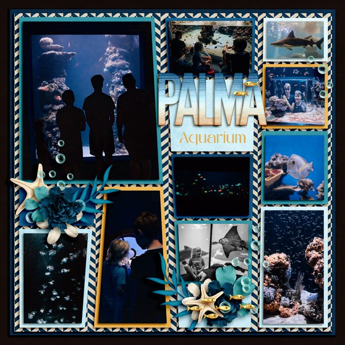 Palma aquarium