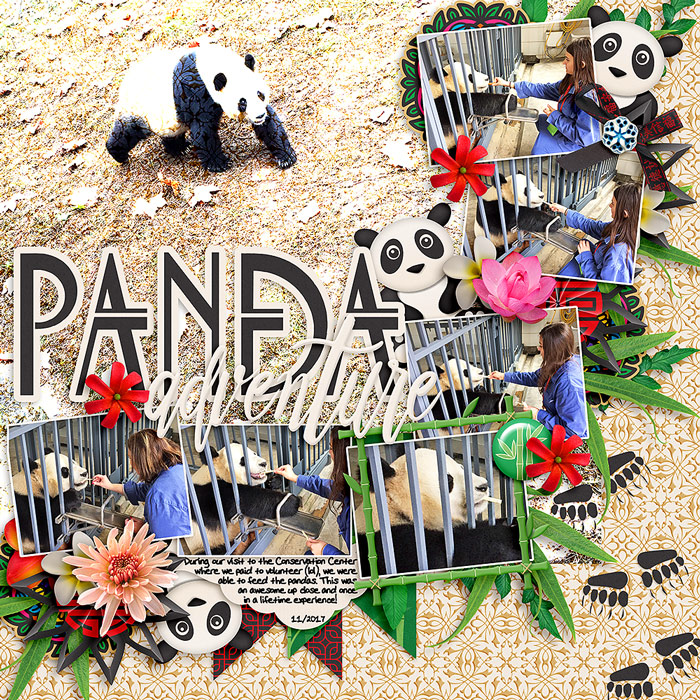 Panda Adventure