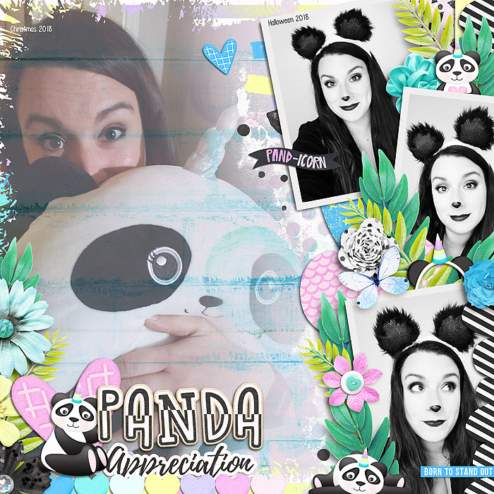 Panda Appreciation
