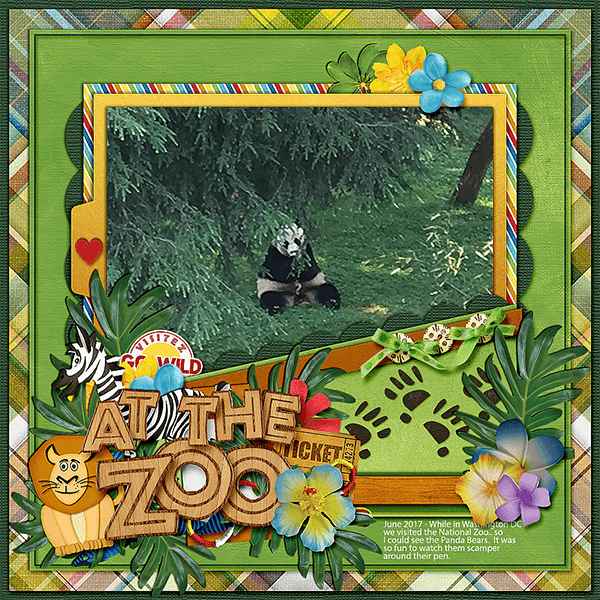 Panda at National Zoo