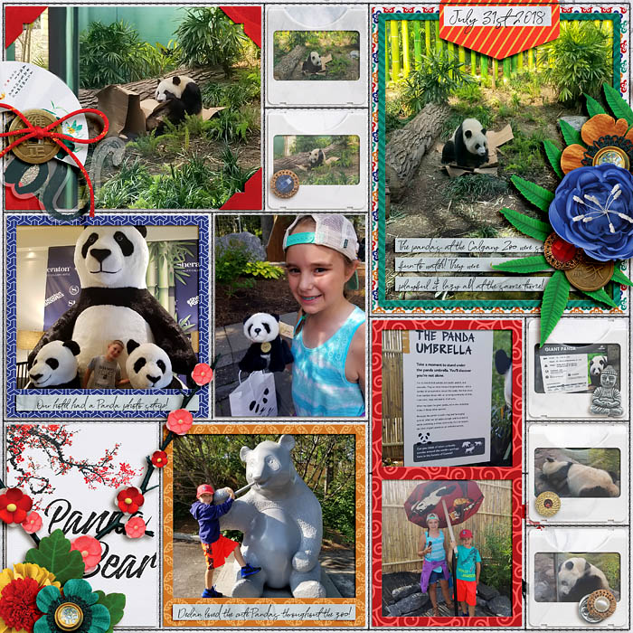 Panda Bear 1