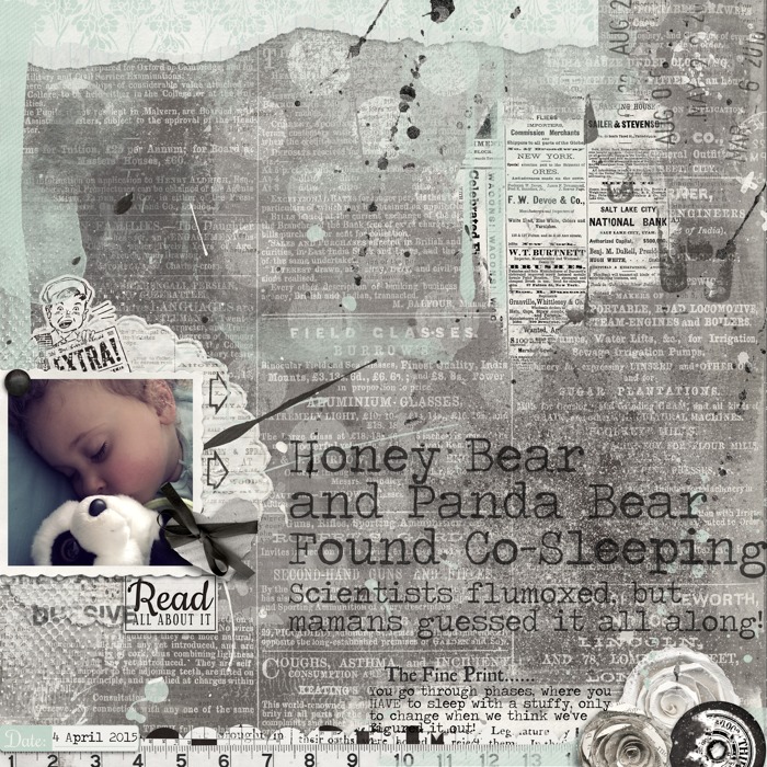 Panda Bear
