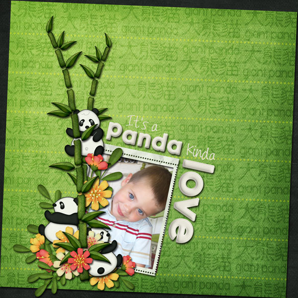 Panda Kinda Love