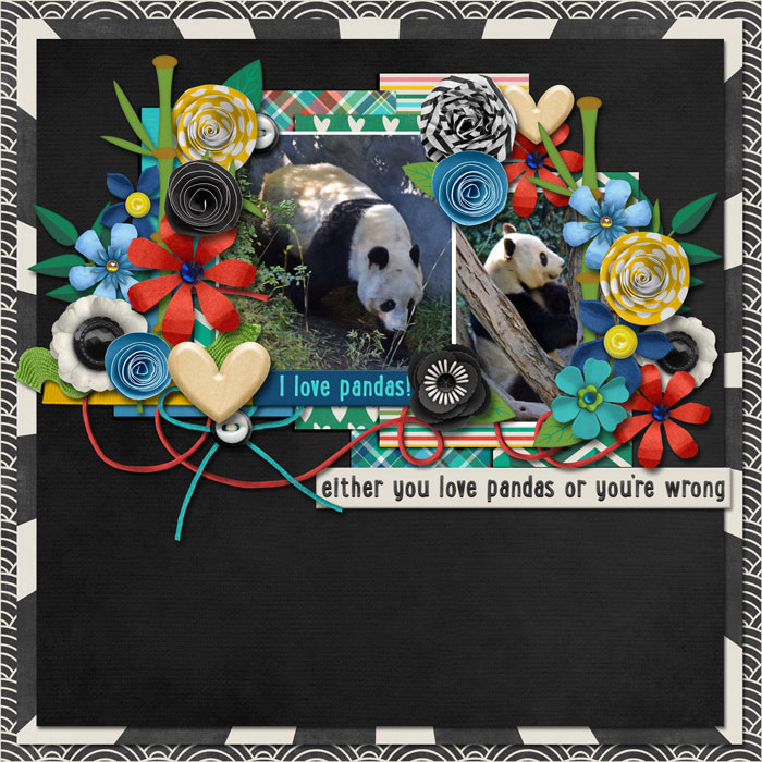 panda