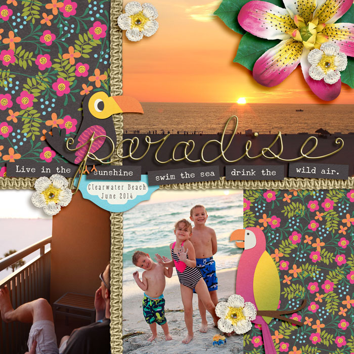 Paradise 2014