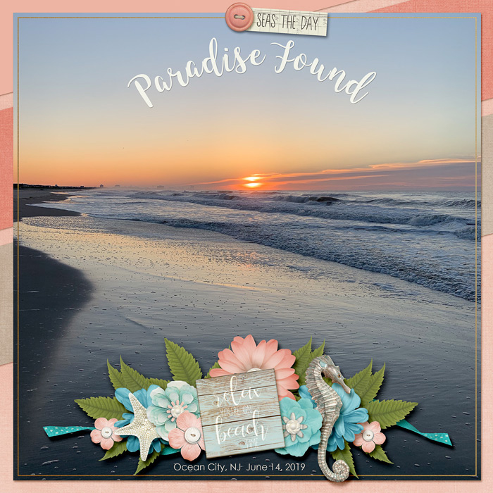 Paradise Found