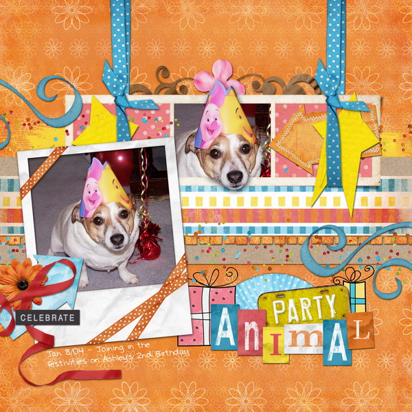 Party Animal