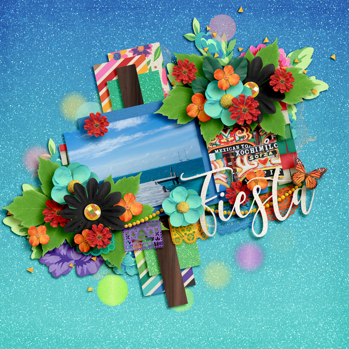 Passport 12- Fiesta