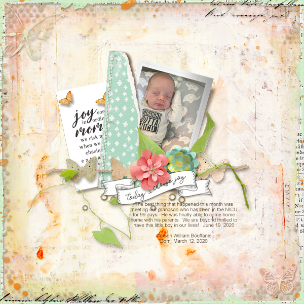Passport Ch. 13