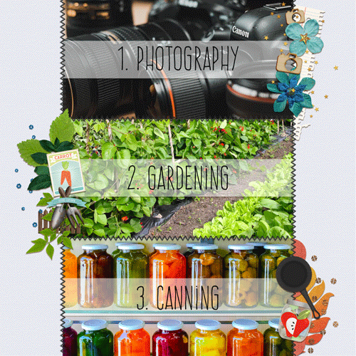 Passport to Adventure #5