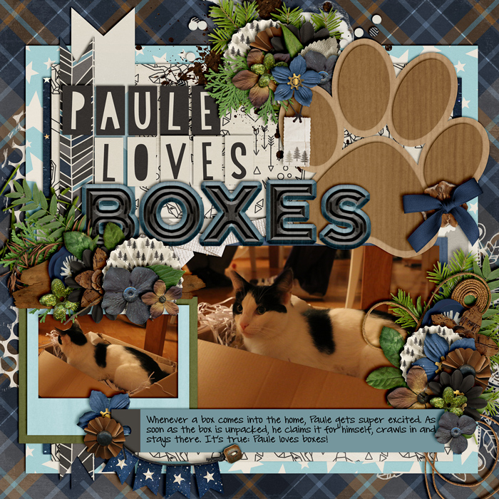 Paule Loves Boxes
