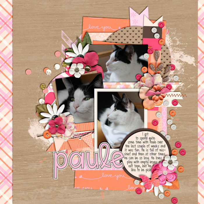 Paule
