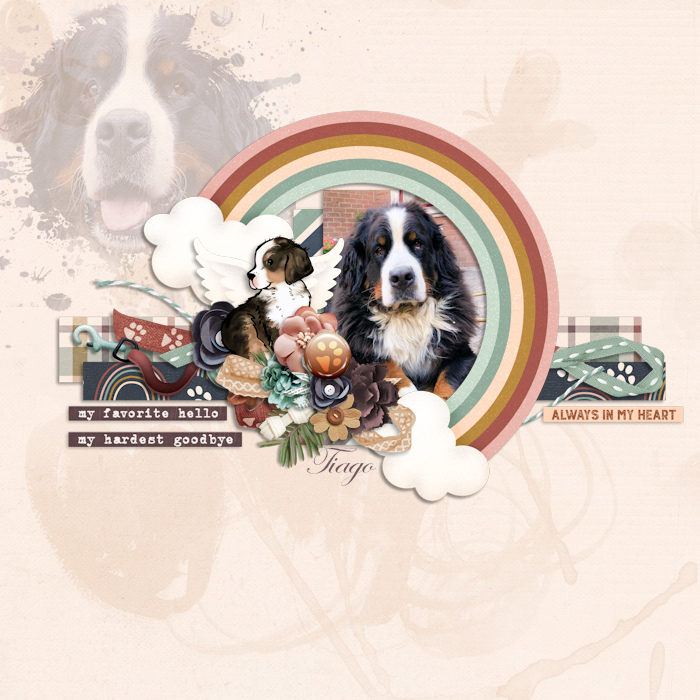 Pawprints to Heaven