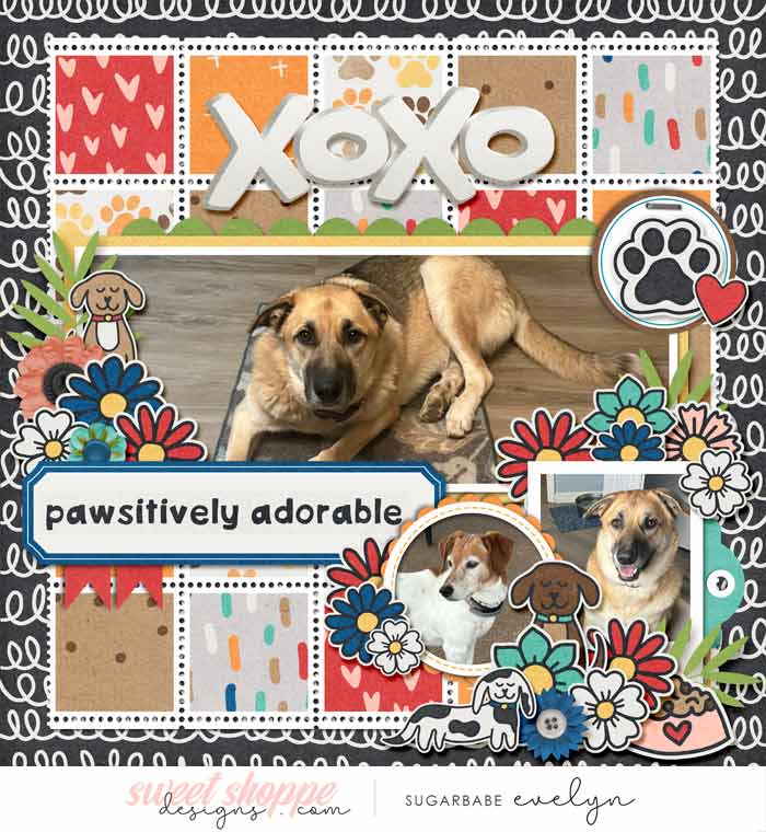 Pawsitively-Adorable