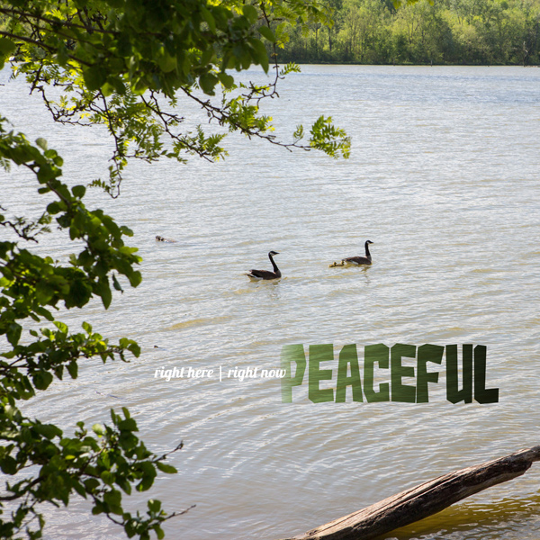 Peaceful