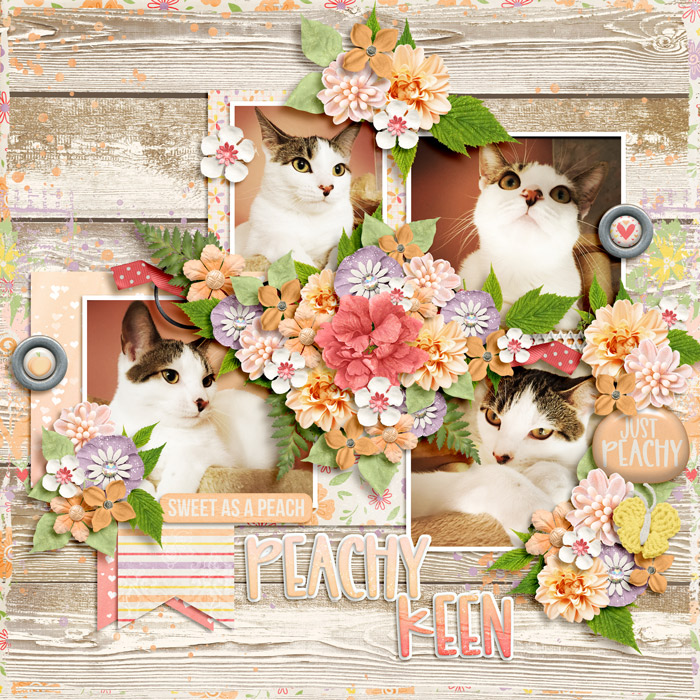 peachy keen