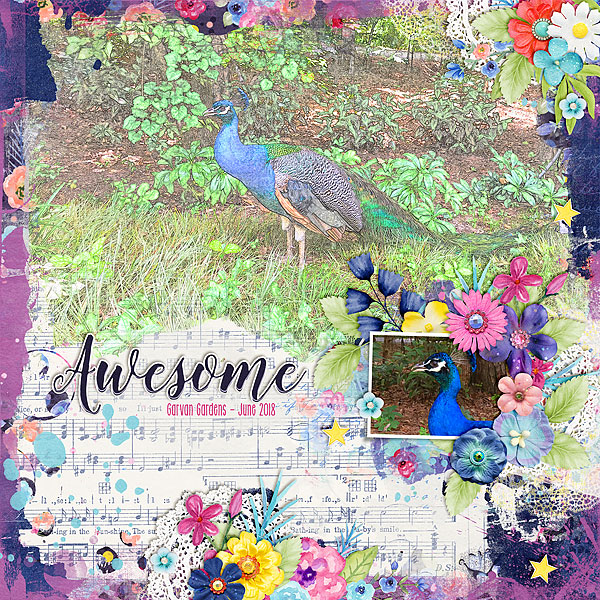 Peacock