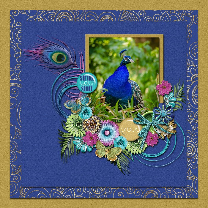 Peacock