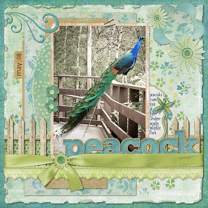 Peacock