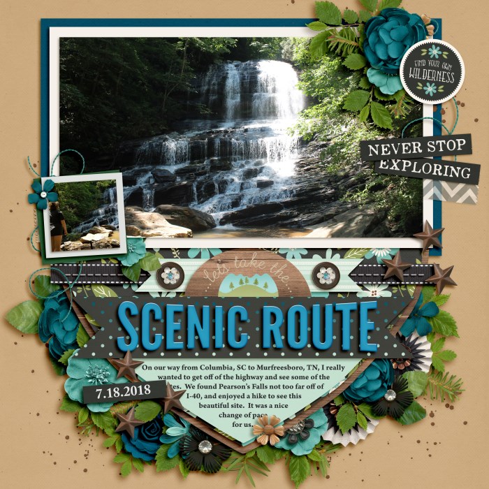 Pearson's Falls