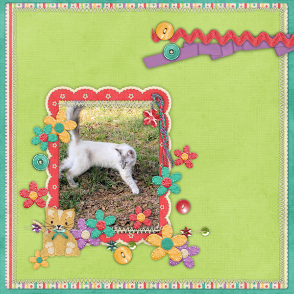 Pebbles exploring