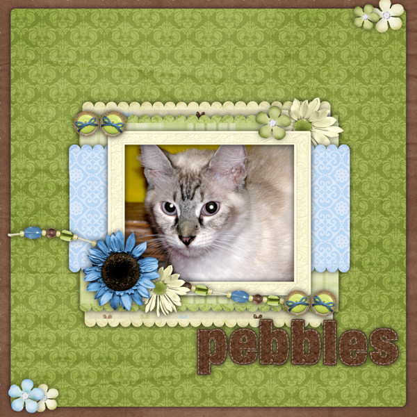 pebbles1