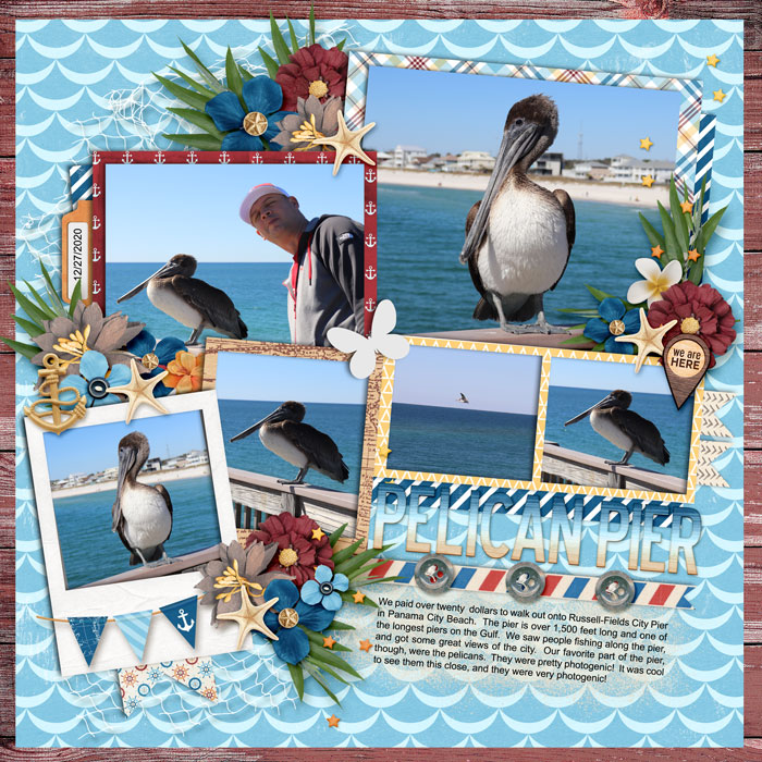 Pelicans