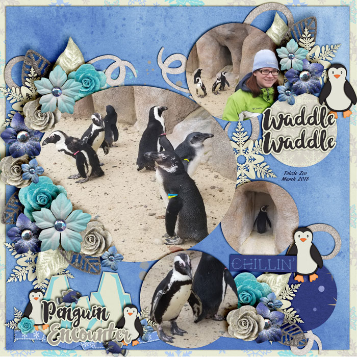 Penguin Encounter