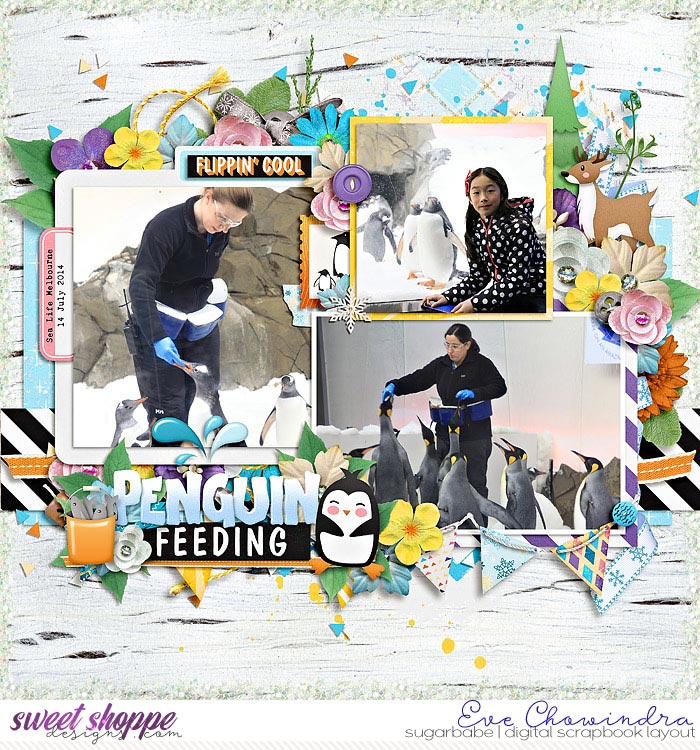 penguin feeding