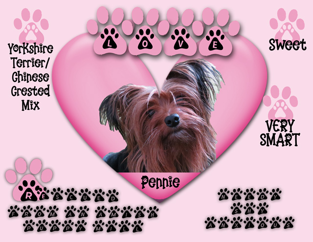 Pennie