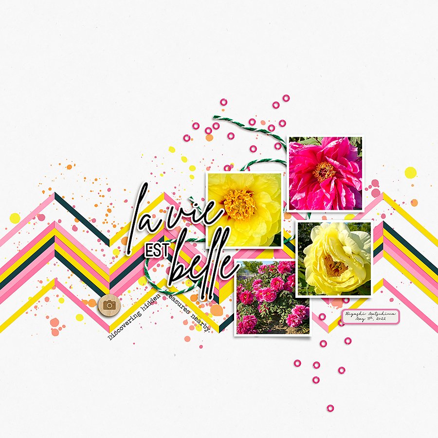 Peonies